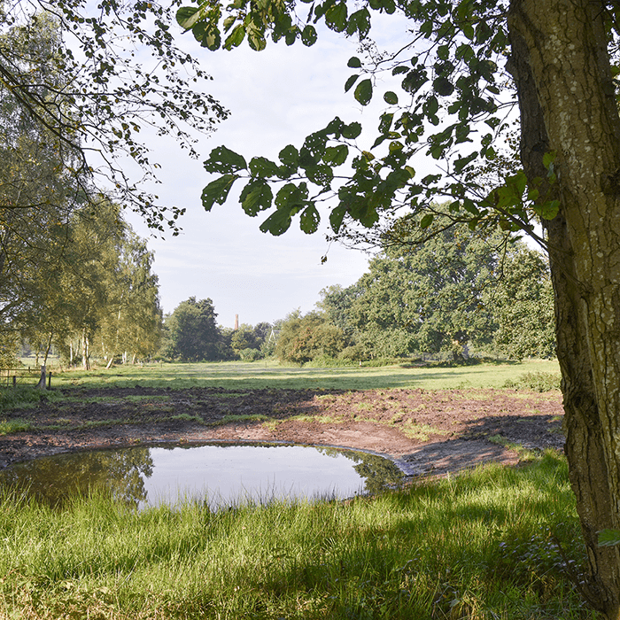 Stichting Buitens van Renkum