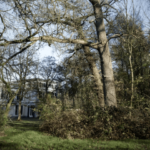 Toekomst van het (groene) erfgoed op de Keijenberg